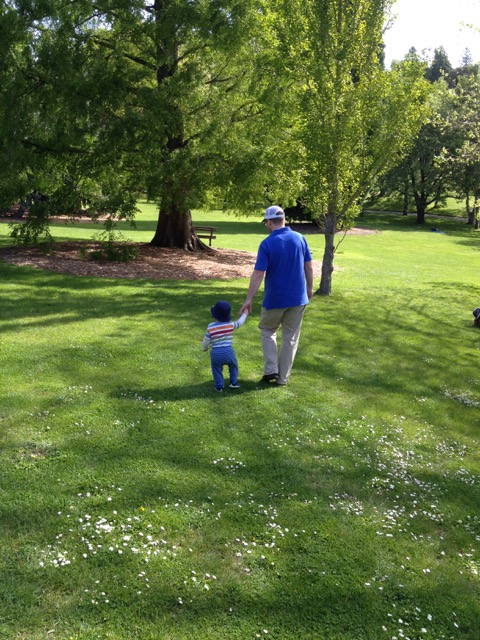 Father and son walking in a park, holding hands