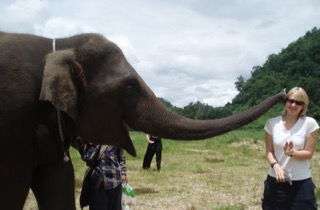 BIG kiss - elephant planting a kiss on side of head of woman